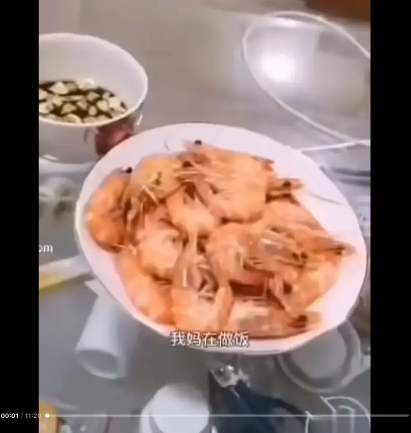 《大虾母子厨房完整版》高清视频资源下载-猎奇视频梗揭秘-完整版在线观看免费播放