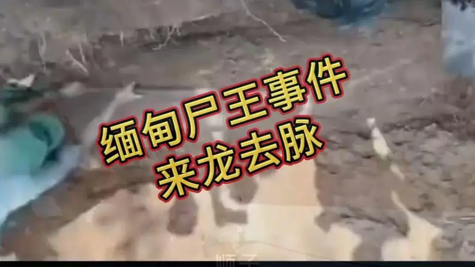 《缅甸僵尸出土事件视频》完整版资源下载-在线观看免费播放高清无广告-缅北僵尸出土事件始末原视频超清未删减-诡异真相解密全程录像